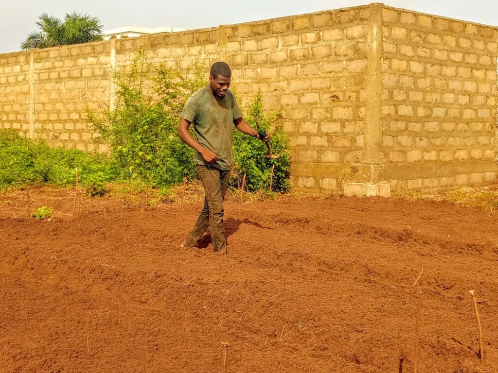 Article : Donald Akoutey, de vétérinaire à agriculteur